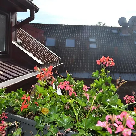 Apartment Red Roof Studio *