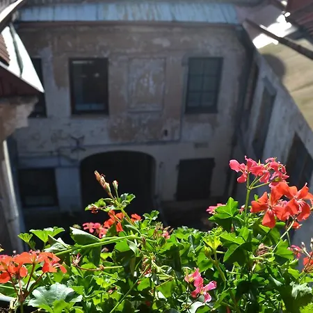 Red Roof Studio וילנה